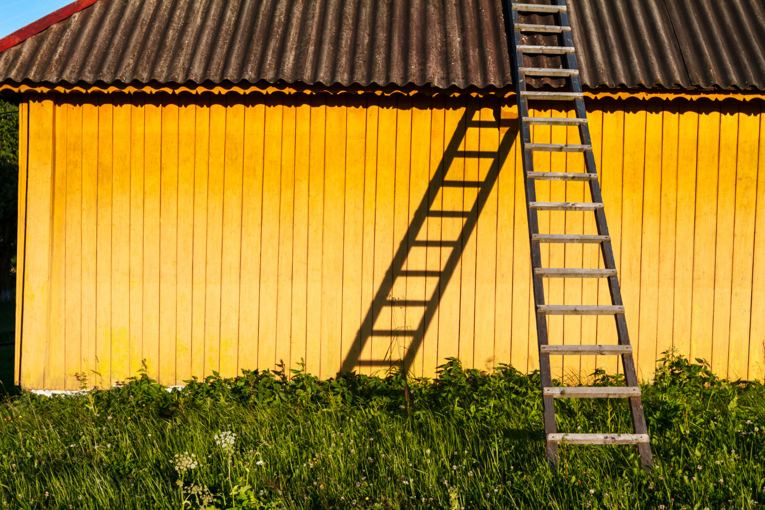 A dirty metal roof with a ladder next to it.