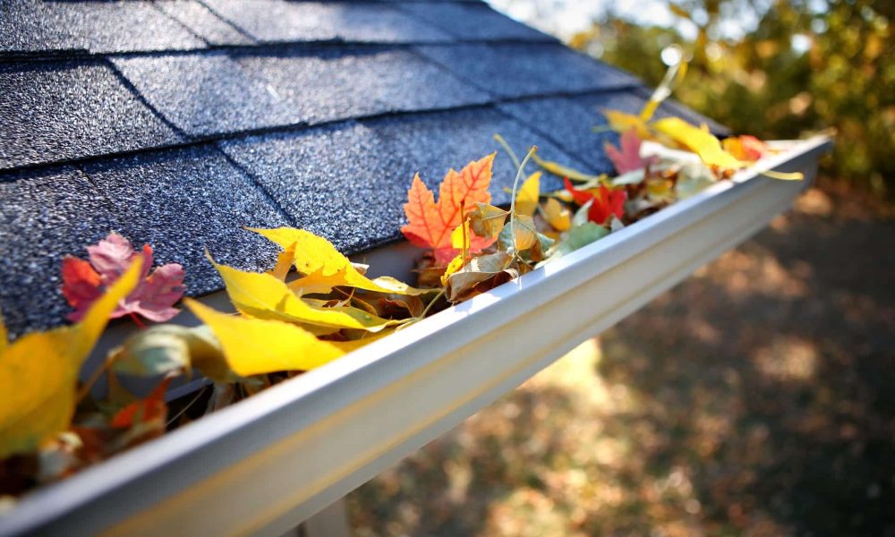 shutterstock 114249007