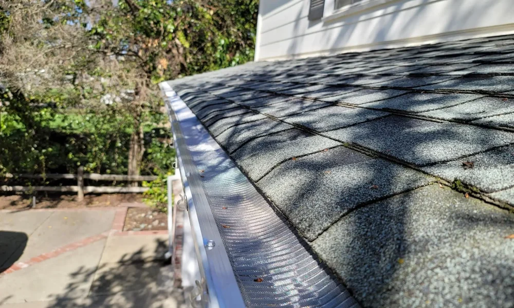 shutterstock 1982177276